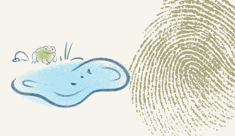 Great Southern resource kit