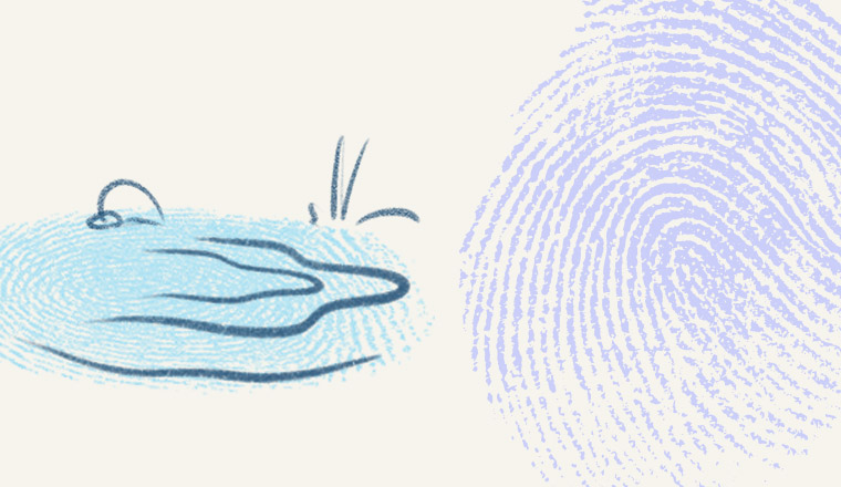 Pre-primary to Year 1 