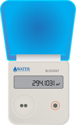 Landis+Gyr (W350) smart meter