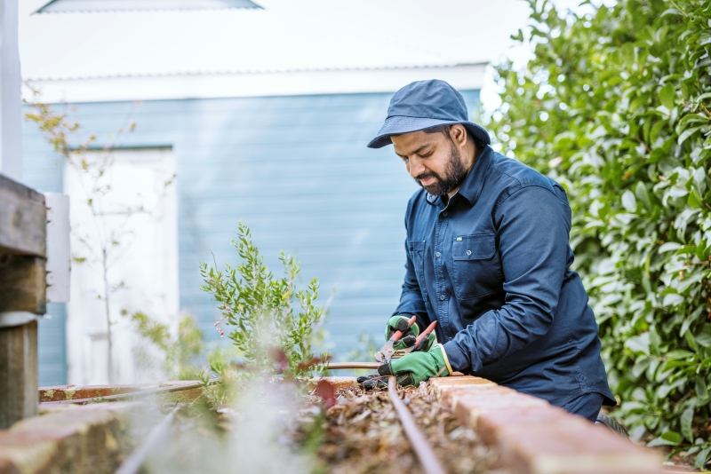man fixing irrigation in a garden