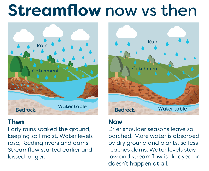 Infographic comparing streamflow conditions in the past ('Then') versus present ('Now'). 'Then' shows rain falling on a lush, green landscape with moist soil, high water tables, and full rivers and dams. 'Now' depicts rain falling on a dry, sparse landscape with parched soil, low water tables, and minimal streamflow. Text explains that early rains used to soak the ground and sustain streamflow, while current drier conditions result in delayed or absent streamflow due to water absorption by dry soil and vegetation.