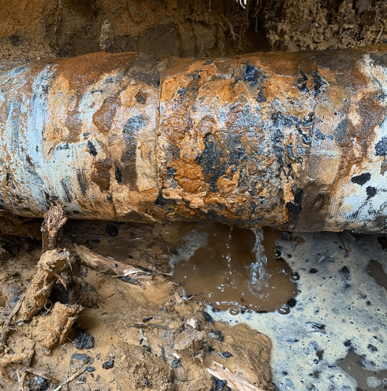 The leaking pipe was located 2m below a large tree 