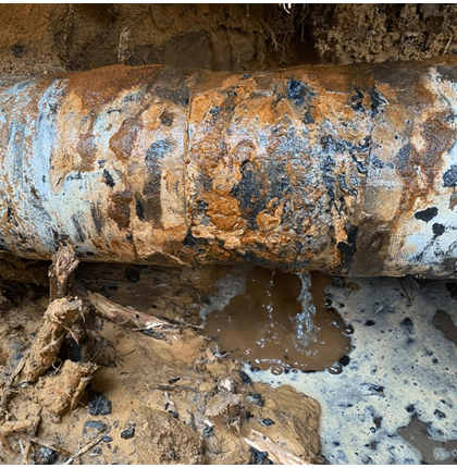 The leaking pipe was located 2m below a large tree