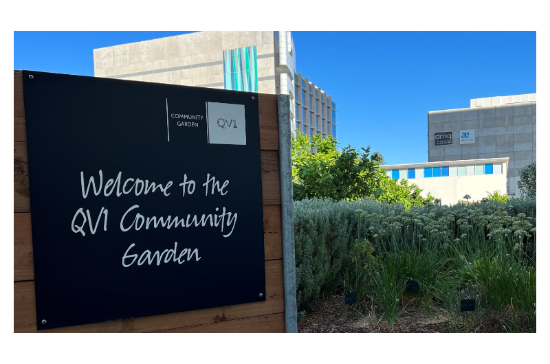 The thriving community garden at QV1