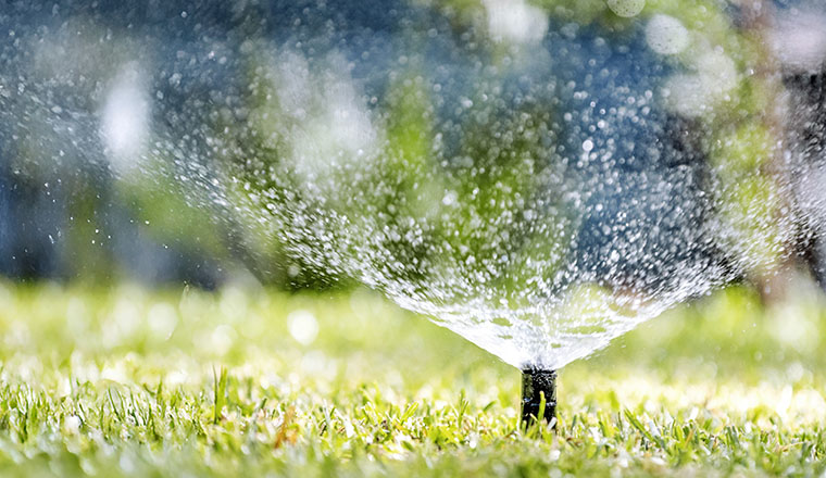 Sprinkler spraying water on grass.