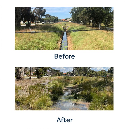 Nurdi park before and aft er