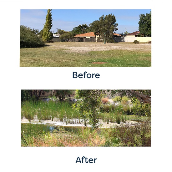 Peters place before and after