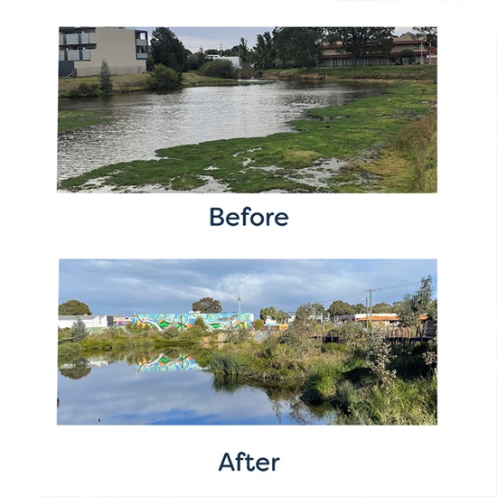 Before and after wharf