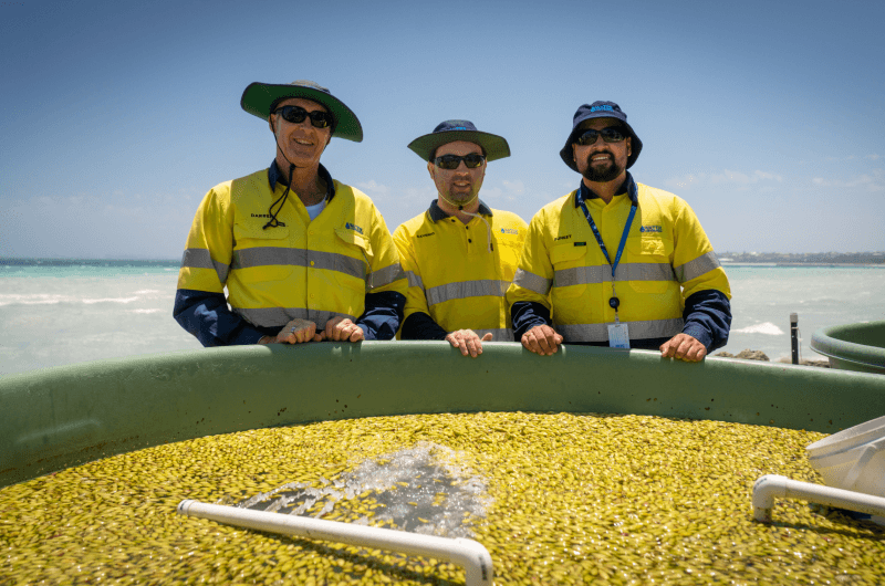 Water Corporation engineers collecting seeds