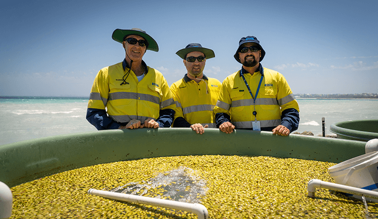 Water Corporation engineers collecting seeds