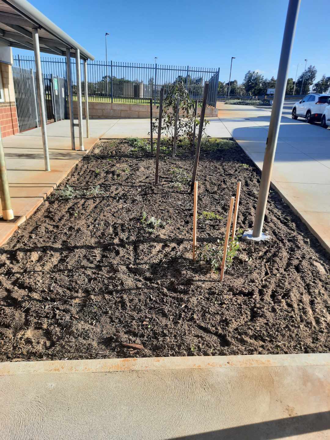 Grandis Primary School before