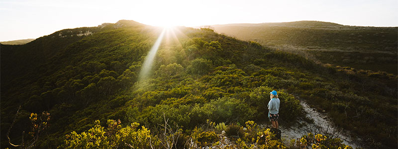 Image of dunes in Albany