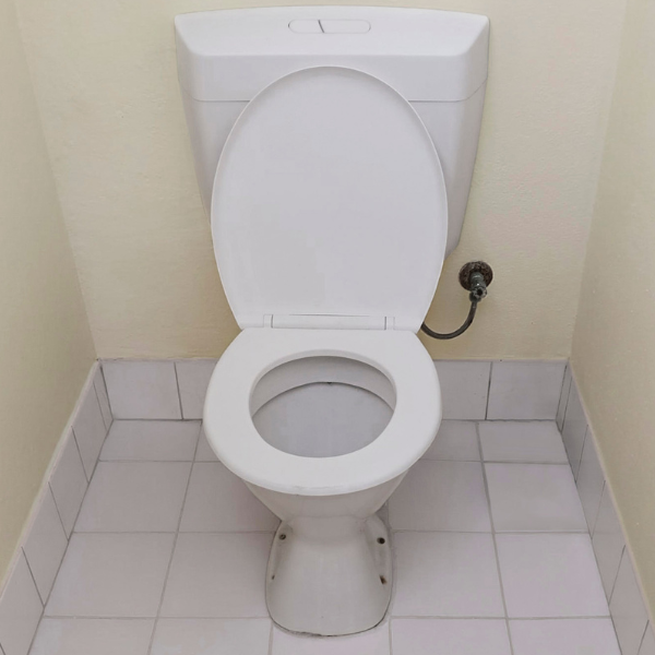 Photo of a dual flush toilet installed before 1995