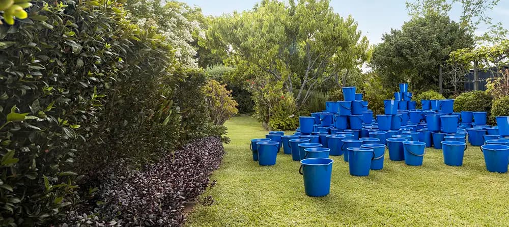 buckets in a garden