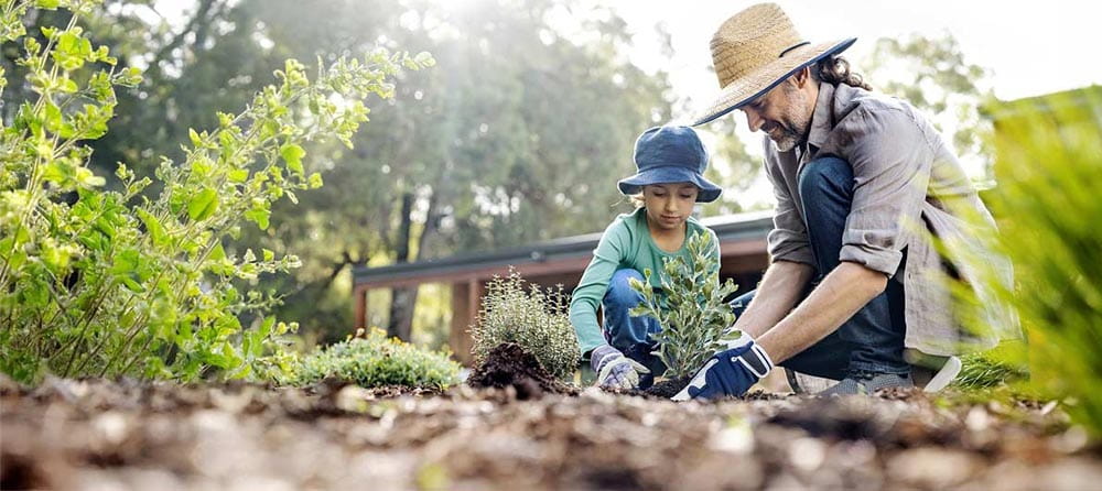 A family are planting small plants in their back garden