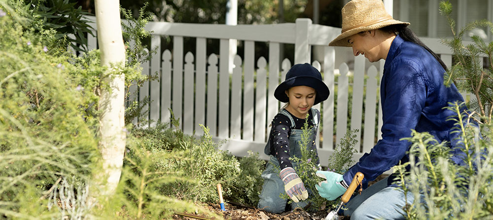 Waterwise Garden Hub