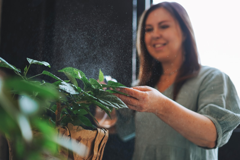 Waterwise plants