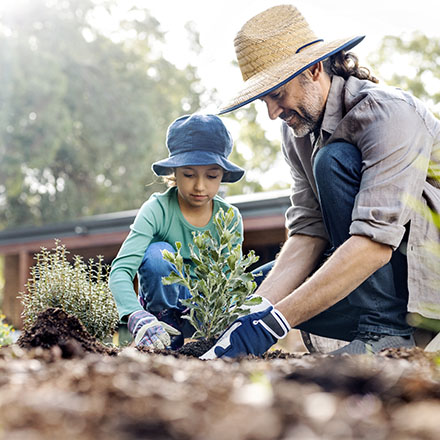 gardening