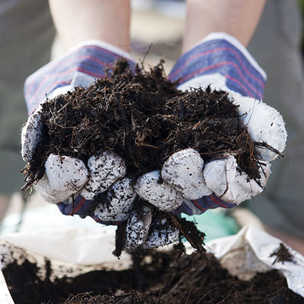 Soil