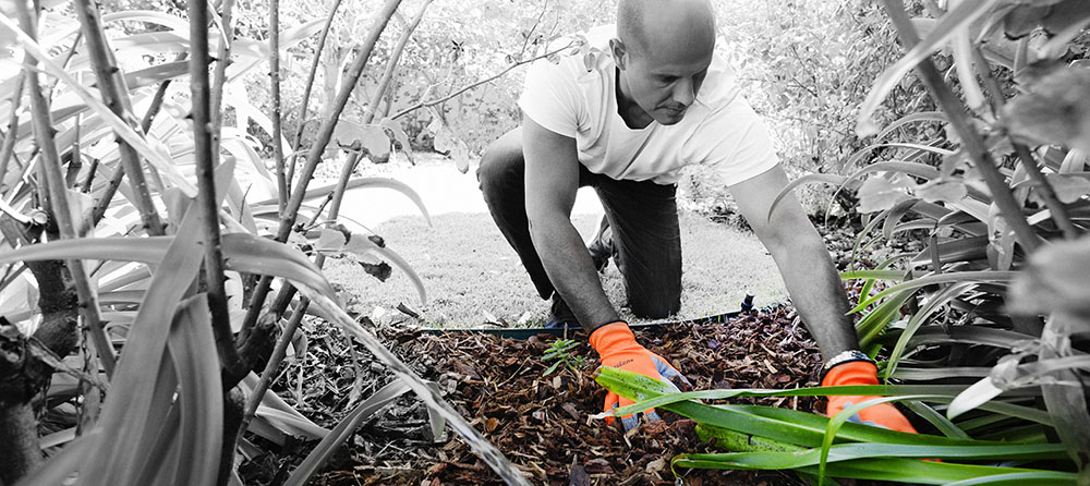 Gardening