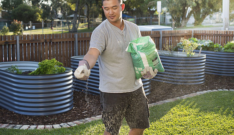 Mulch