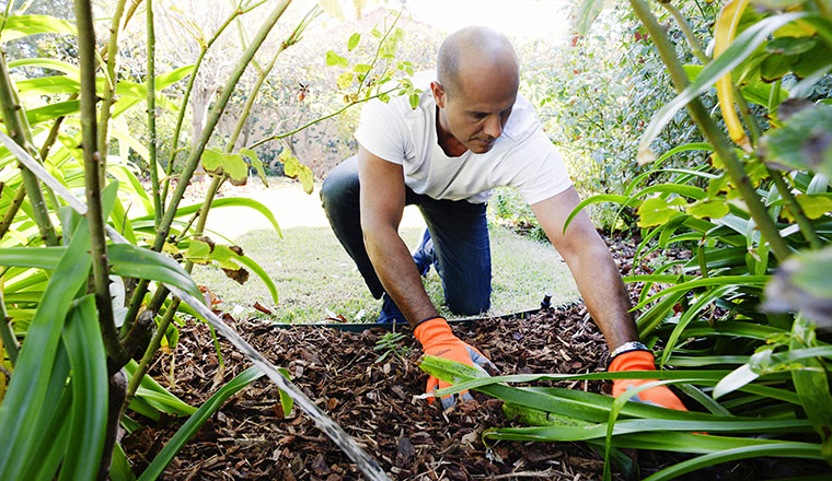 Man gardening